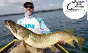 Stage de pêche du brochet avec un guide de pêche Aveyron