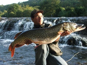 Illustration pêche des carnassiers en Aveyron avec un Moniteur/ Guide de pêche de l'Aveyron