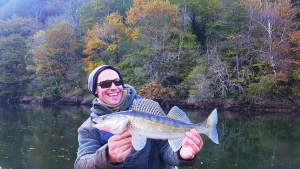 Illustration Stage de pêche carnassiers avec un Moniteur/ Guide de pêche Valée du Lot/ Cabanac/ camping/ Office de Tourisme Aveyron