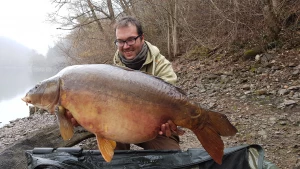 Carpe miroir Aveyron Illustration pêche