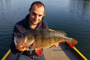 Illustration pêche des carnassiers lac de Pareloup